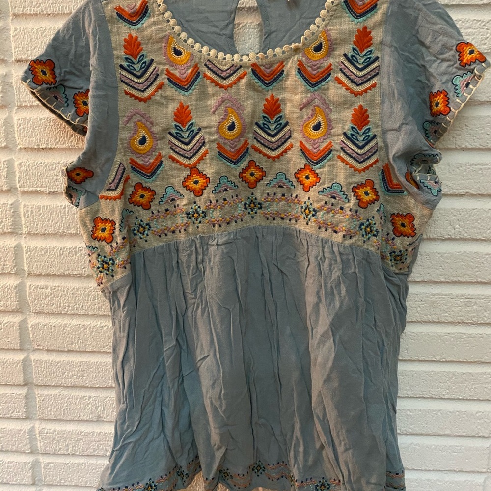 Blue Embroidered THML Top